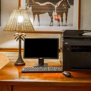 https://the-equus.hotelsinhawaii.org